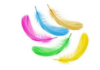 Colorful feathers isolated on white background, a symbol of freedom and lightness