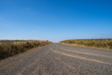 Gravel road through countryside with dry grass and blue sky in summer 