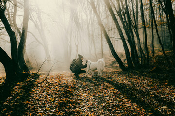 woman and dog strolling in beautiful foggy forest in autumn