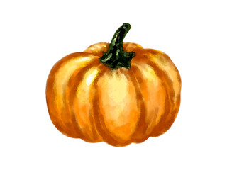 Hand Painted Orange Pumpkin Artwork with Green Stem. Autumn Harvest Pumpkin Watercolor Design. Rustic Fall Pumpkin Illustration for Seasonal Decor