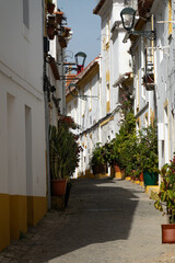 Traditional cobbled neighbourhood alley street in Elvas in Portugal
