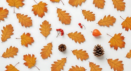 Autumn leaves and pinecones isolated on white background