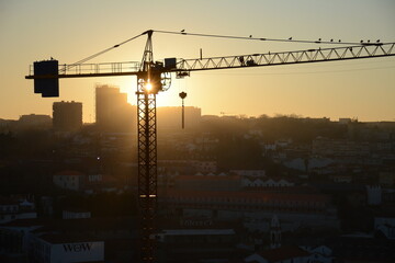 Urban Sunset with Construction Crane Silhouette and Perched Birds