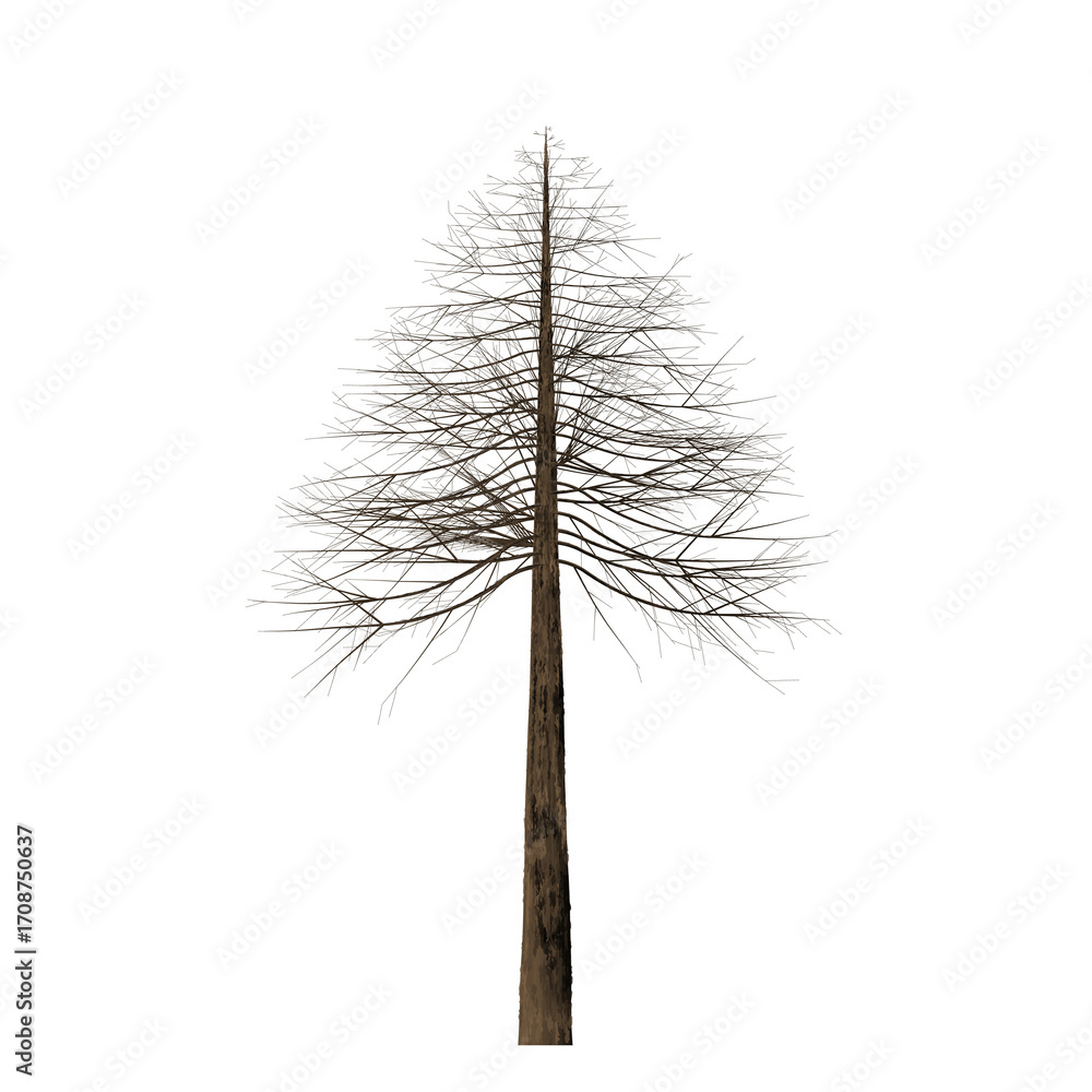 Aufkleber a single isolated pine tree with a brown trunk and green needles against a black background in a stu