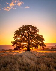 Fototapeta premium Majestic Oak Tree in Golden Fall Field at Sunset with Abundant Copy Space in Background