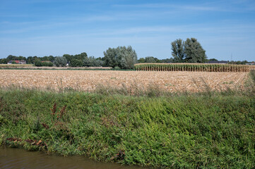 Obraz premium Small creek through green farmland in Ertvelde Evergem, East Flanders, Belgium