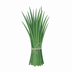 Fresh Chives Bundle Vector Illustration