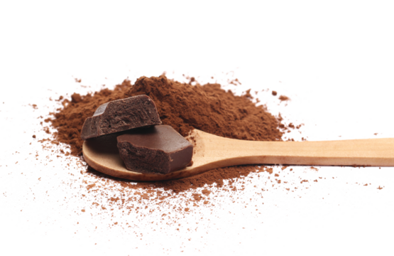 cocoa powder and piece chocolate in wooden spoon, isolated on white background, side view