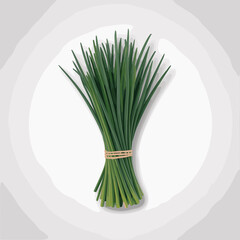 Fresh Chives Bundle Vector Illustration