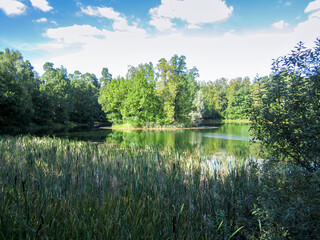 Landscape in the park with a lake and an island on a summer day.