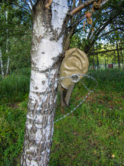 Barbed wire and gas mask on a birch tree trunk.