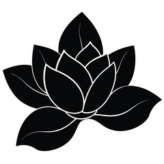 magnolia vector icon © Rama