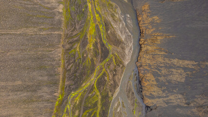 Top down aerial of braided glacial river system in Iceland cutting across volcanic brown terrain with bright green moss on the valley