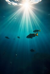 Fototapeta premium Sunlight streams through ocean depths illuminating fish swimming in clear blue water