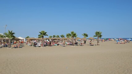 A view of the beach and palm trees near the sea. People relaxing. Summer vacation. Seaside relaxation. August 19, 2025. Caorle, Italy.