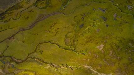 Aerial view of Iceland moss covered highlands with winding rivers wetlands and green textures creating abstract natural landscape patterns