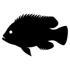 Silhouette of a majestic black fish with spiky fins and white eye © MST