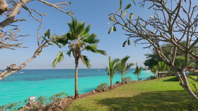 Kendwa Zanzibar beach with palm trees and turquoise water