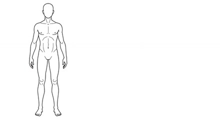 Blank male figure drawing template