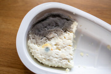Spoiled cottage cheese with mold in container