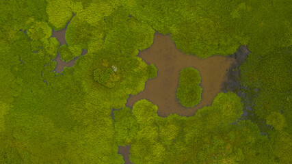 Iceland swamp terrain aerial scene with green vegetation and a muddy pond enclosing an oval island