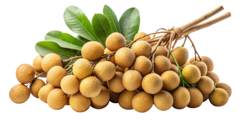 A bunch of freshly harvested golden longan fruits tied together with leaves isolated on transparent background