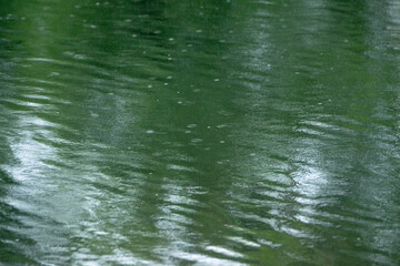 A beautiful and abstract texture of rain falling on green water The Tranquility of Nature's Texture