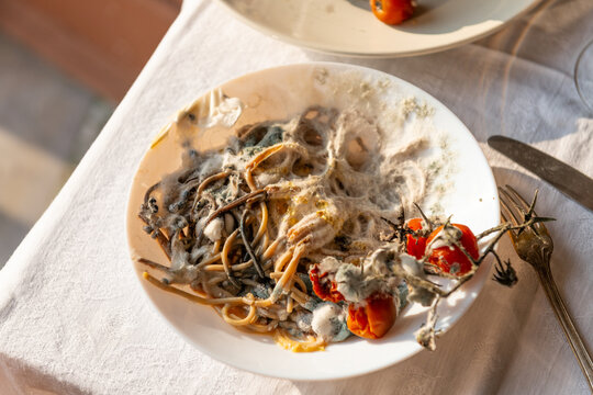 Forgotten moldy dinner on the sunny table