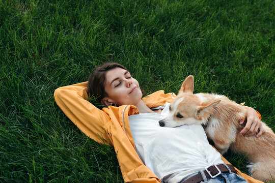 Relaxing Afternoon With a Dog in a Sunlit Park