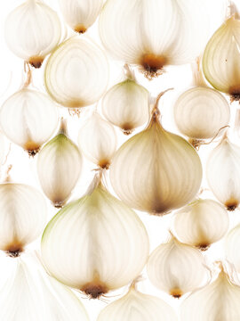 High Key Image of Multiple White Onions with Delicate Texture
