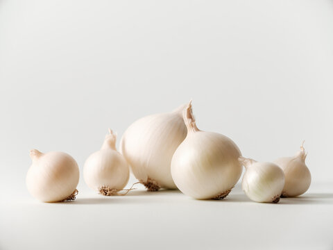 Studio Composition of Onion on the  White Background