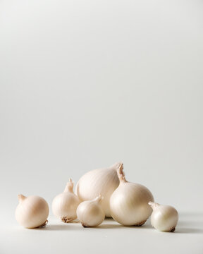 Artistic Composition of Onion on the  White Background