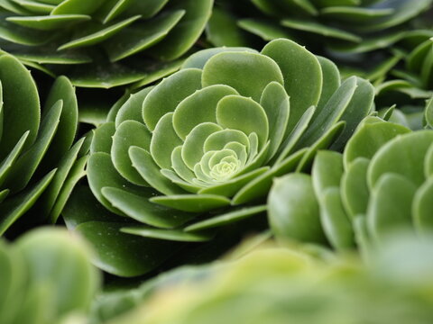 Natural Geometry