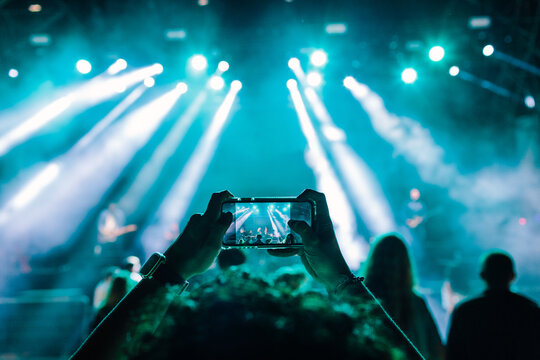 Concert Audience View