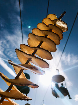 Crispy tornado potatoes against Sky