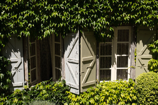 House covered in climbing plants