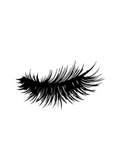 Eyelash Silhouette Illustration