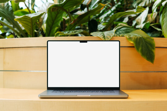 Laptop Mockup with White Screen in Green Workspace