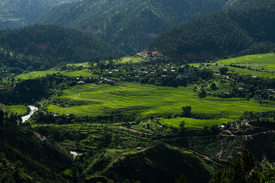 Terrace paddy plantation in Nepal during Monsoon