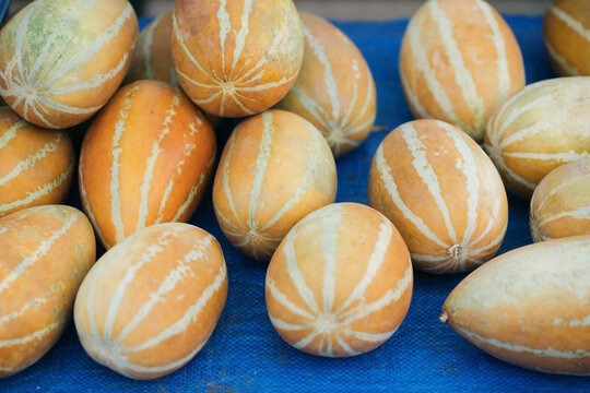 Muskmelon for sale at a local market.