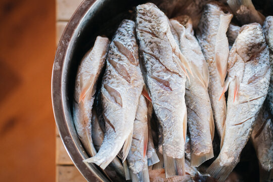 Making fermented fish