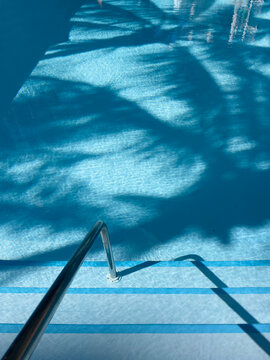 Swimming pool stairs, water and palm tree shadow
