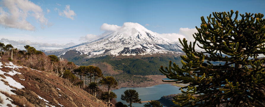 Snow-capped volcano and lake in Conguill&iacute;o National Park, Chile
