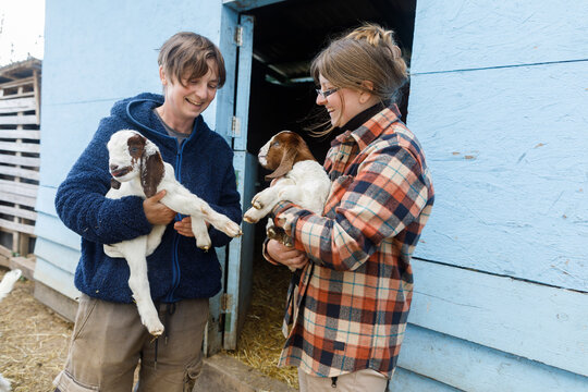 Farm workers and baby goats
