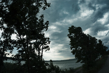 Storm winds blowing trees away