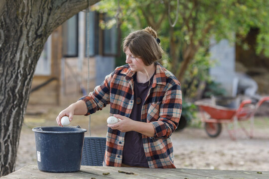 Woman put goose eggs in a bucket outdoors
