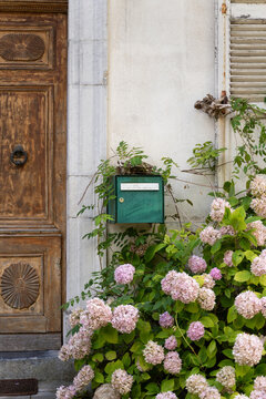 Rustic mailbox with flowers