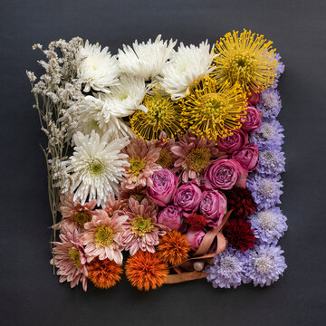 A collection of flowers 