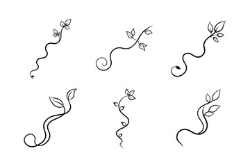 flowing winding vine with natural leaves vector set