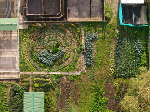 Drone capturing circular vegetable garden in rural colombia